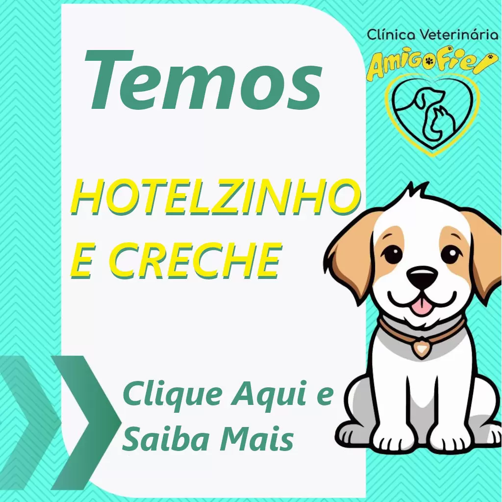 HOTELZINHO-E-CRECHE HOTELZINHO-E-CRECHE